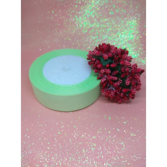 Лента репсовая однотонная 2,5 см цв. мятный, цена за 3 м